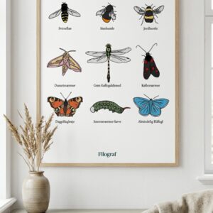Plakat med diverse insekter